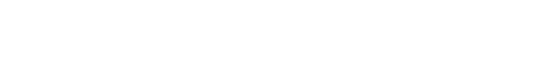 Lightning Quick Repairs